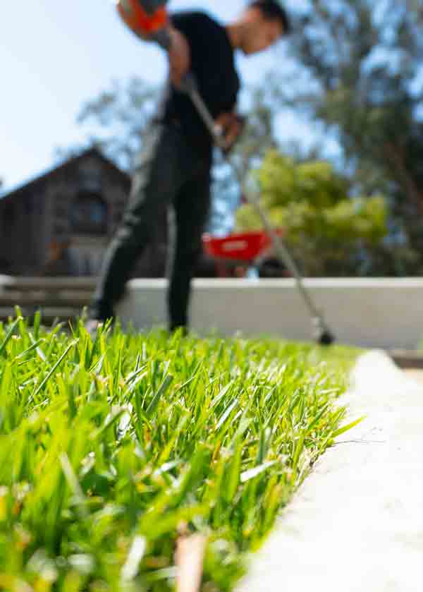 expert hardscaping in greenville sc