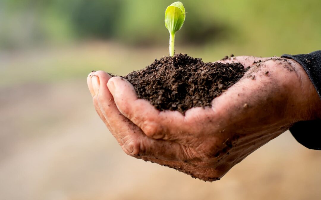 Premium Mulching Services in Ogden, Utah